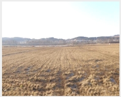  2025Ÿ��50198  ����