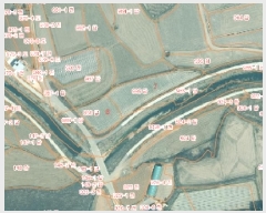  2025Ÿ50198 泲 ¾ȱ ¾ õ 735-7      (Ӿ)