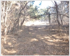  2025Ÿ50198 泲 ¾ȱ ¾ õ 735-7      (Ӿ)