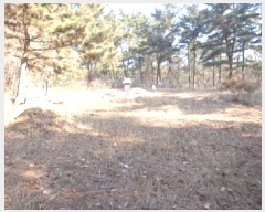  2025Ÿ50198 泲 ¾ȱ ¾ õ 735-7      (Ӿ)