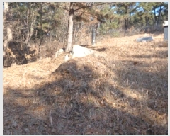  2025Ÿ50198 泲 ¾ȱ ¾ õ 735-7      (Ӿ)