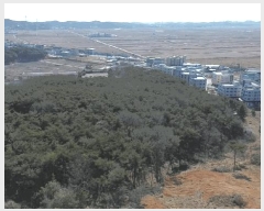  2025Ÿ��50686  �Ӿ߰��