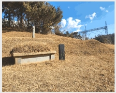  2025Ÿ��50686  �Ӿ߰��