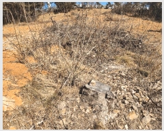  2025Ÿ��50686  �Ӿ߰��