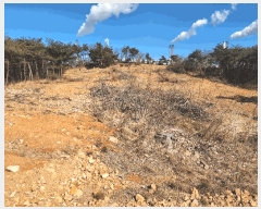  2025Ÿ��50686  �Ӿ߰��