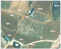  2025Ÿ50747 泲 ¾ȱ ¾  709      ()