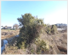  2025Ÿ50747 泲 ¾ȱ ¾  709      ()