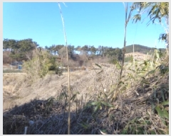  2025Ÿ50747 泲 ¾ȱ ¾  709      ()