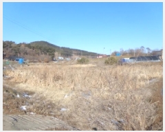  2025Ÿ50747 泲 ¾ȱ ¾  709      ()