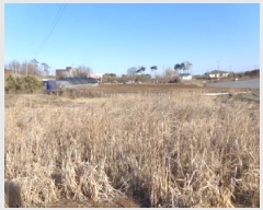  2025Ÿ50747 泲 ¾ȱ ¾  709      ()