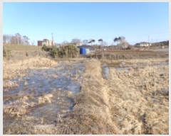  2025Ÿ50747 泲 ¾ȱ ¾  709      ()