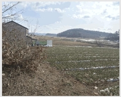  2025Ÿ50839 泲   ȯ 117-15      (Ӿ)