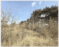  2025Ÿ50839 泲   ȯ 117-15      (Ӿ)