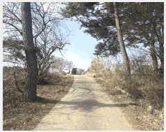  2025Ÿ50839 泲   ȯ 117-15      (Ӿ)