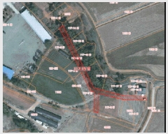  2025Ÿ50839 泲   ȯ 117-15      (Ӿ)