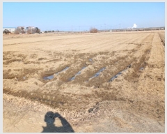  2025Ÿ50956 泲   ȭ 12-2      ()