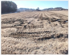  2025Ÿ50956 泲   ȭ 12-2      ()