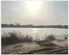  2025Ÿ51059 泲  õ 243-2       