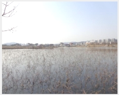  2025Ÿ51059 泲  õ 243-2       