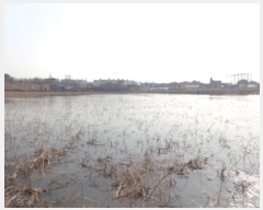  2025Ÿ51059 泲  õ 243-2       