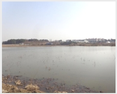  2025Ÿ51059 泲  õ 243-2       