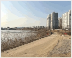  2025Ÿ51059 泲  õ 243-2       