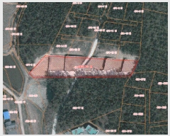  2025Ÿ��51072 �泲 ����� ����� ������ 438-76      ����(�Ӿ�)���