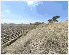  2025Ÿ��51127 �泲 ������ ����� �μ��� 6      ����(�Ӿ�)���