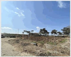  2025Ÿ��51127 �泲 ������ ����� �μ��� 6      ����(�Ӿ�)���