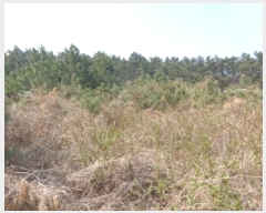  2025Ÿ51177 泲 ¾ȱ ϸ Ȳ̸ 204-33      (1)