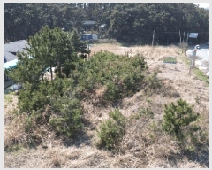  2025Ÿ51177 泲 ¾ȱ ϸ Ȳ̸ 204-33      (1)