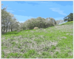  2025Ÿ��51234  �����