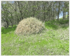  2025Ÿ��51234  �����