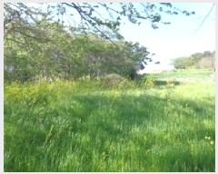  2025Ÿ��51234  �����