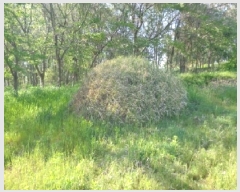  2025Ÿ��51234  �����