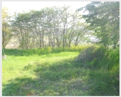  2025Ÿ��51234  �����