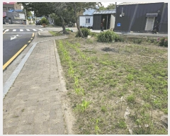  2025Ÿ��51249 �泲 ����� ���� ���帮 499-30      ����(�Ӿ�)���