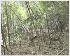  2025Ÿ51254 泲    53      (Ӿ)