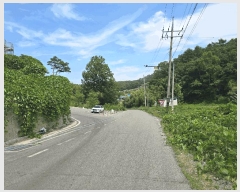  2025Ÿ51254 泲    53      (Ӿ)