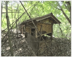  2025Ÿ51254 泲    53      (Ӿ)