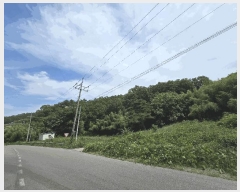  2025Ÿ51254 泲    53      (Ӿ)