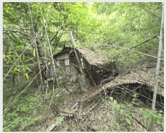  2025Ÿ51254 泲    53      (Ӿ)