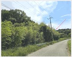  2025Ÿ51254 泲    53      (Ӿ)