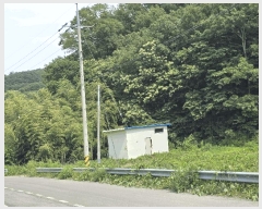  2025Ÿ51254 泲    53      (Ӿ)