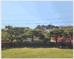  2025Ÿ��51263  �ٰ������ð��