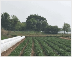  2025Ÿ��51273 �泲 ������ ����� �μ��� 8-32      ����(�Ӿ�)���