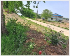  2025Ÿ��51273 �泲 ������ ����� �μ��� 8-32      ����(�Ӿ�)���