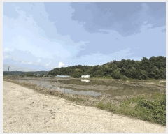  2025Ÿ��51310 �泲 ������ ����� ���׸� 152-21      ����(��)���