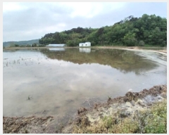  2025Ÿ��51310 �泲 ������ ����� ���׸� 152-21      ����(��)���