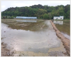  2025Ÿ��51310 �泲 ������ ����� ���׸� 152-21      ����(��)���